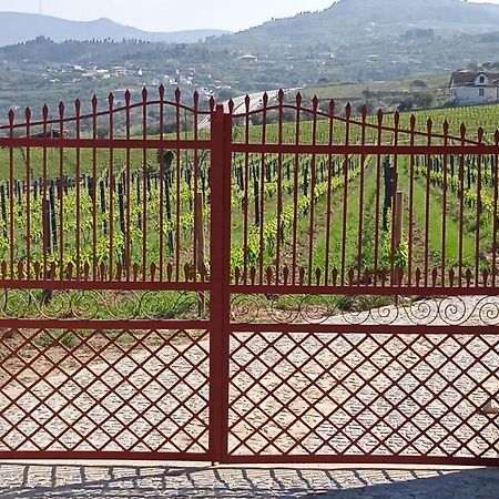 Quinta Do Passadico Βίλα Lamego Εξωτερικό φωτογραφία
