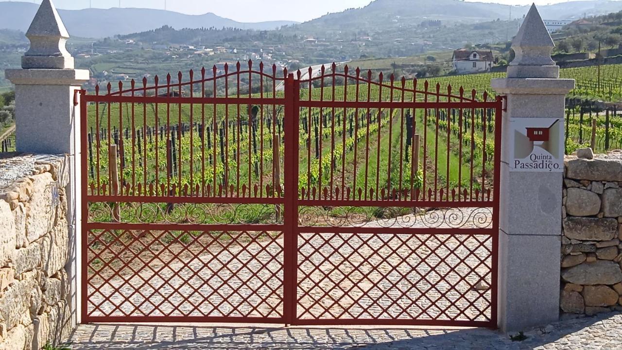 Quinta Do Passadico Βίλα Lamego Εξωτερικό φωτογραφία