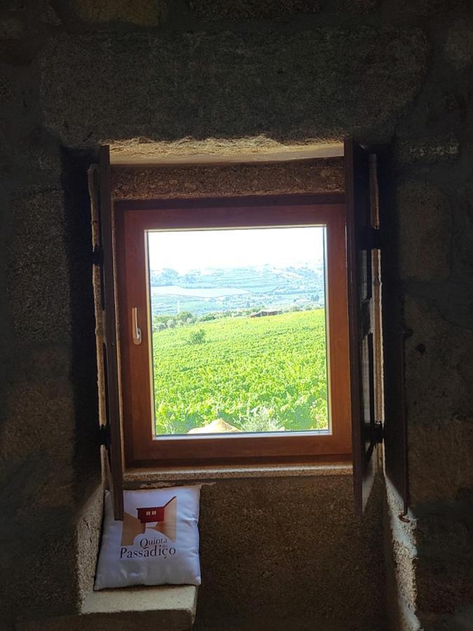 Quinta Do Passadico Βίλα Lamego Εξωτερικό φωτογραφία