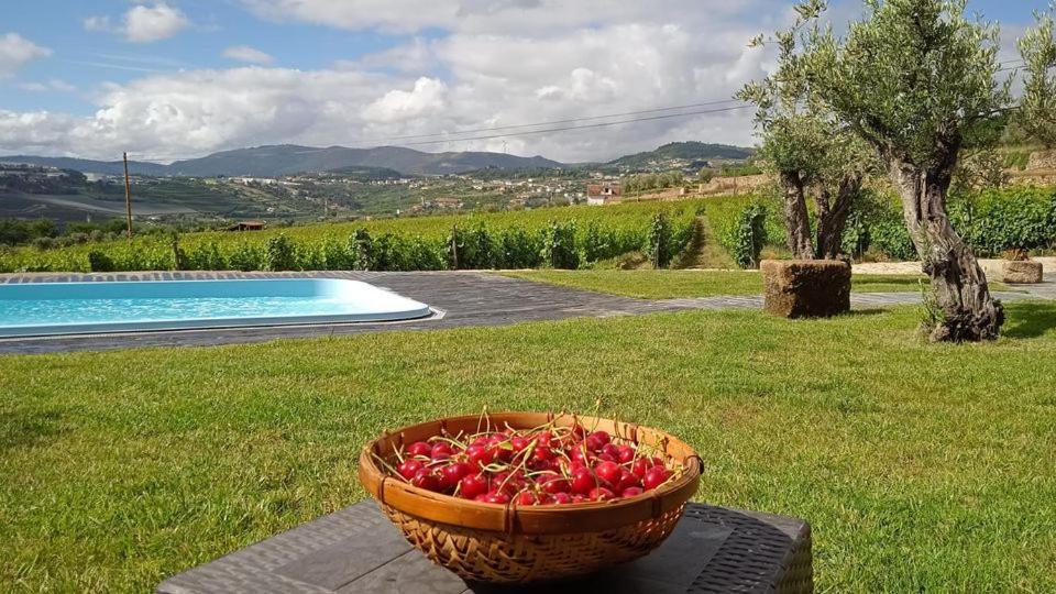 Quinta Do Passadico Βίλα Lamego Εξωτερικό φωτογραφία
